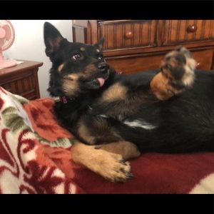 Meet your Posher, Brooke